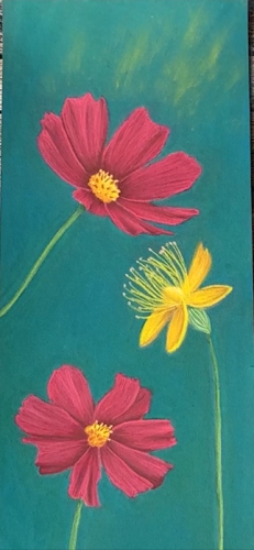fleurs de cosmos au pastel sec